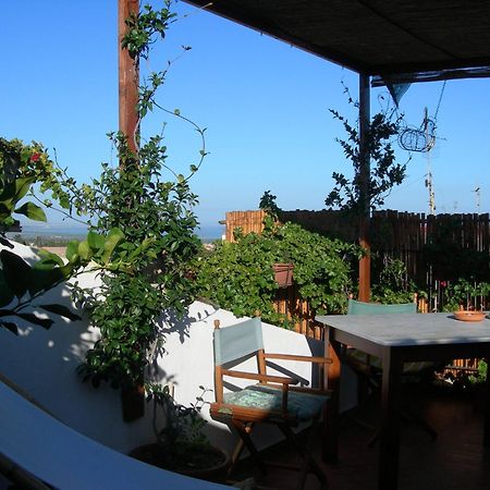 Piazza San Pantaleo Bed & Breakfast Sorso Luaran gambar