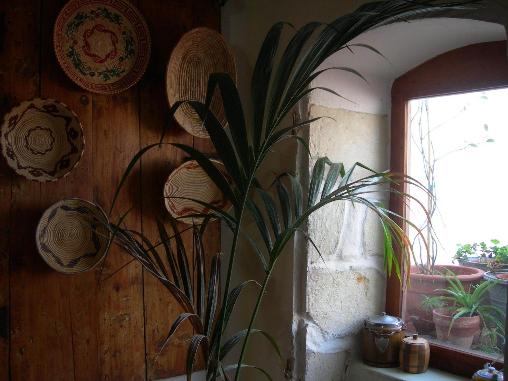 Piazza San Pantaleo Bed & Breakfast Sorso Luaran gambar